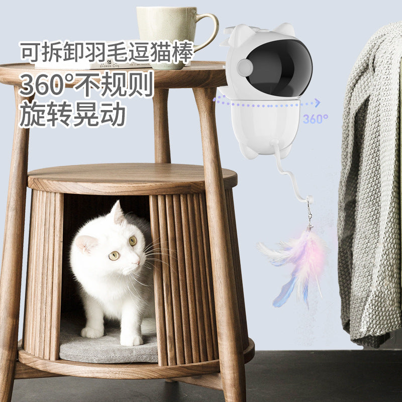 Multi-functional rechargeable bear laser cat teaser