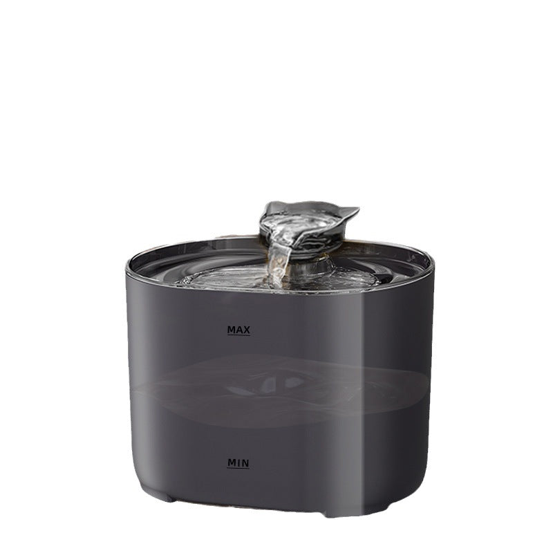 New cat water dispenser