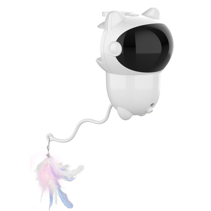 Multi-functional rechargeable bear laser cat teaser