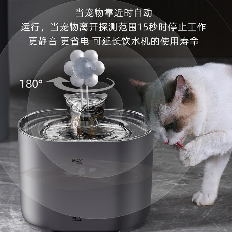 New cat water dispenser