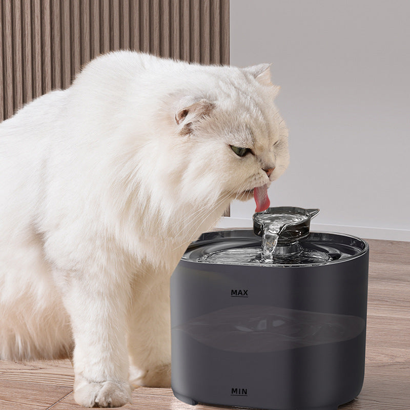 New cat water dispenser